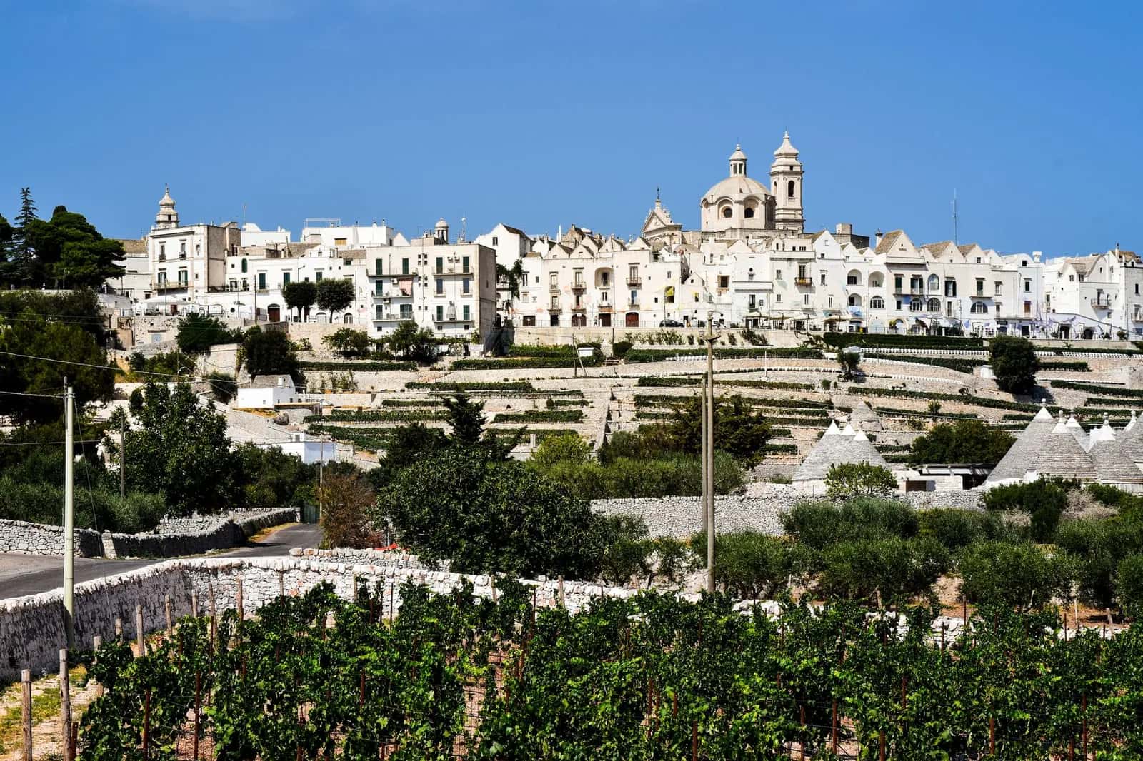 Locorotondo, village blanc perché au-dessus des vignes et des murets de pierre de la vallée d'Itria