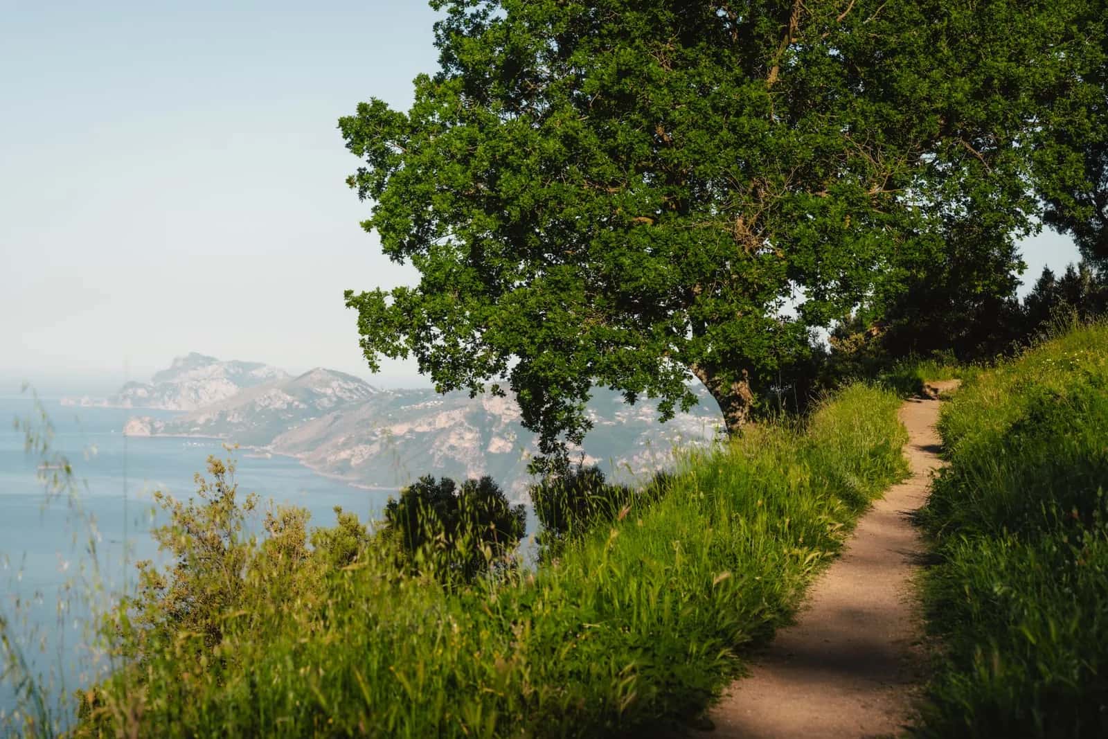 Le sentier des Dieux au-dessus de la mer, avec la pointe de la péninsule et Capri au loin