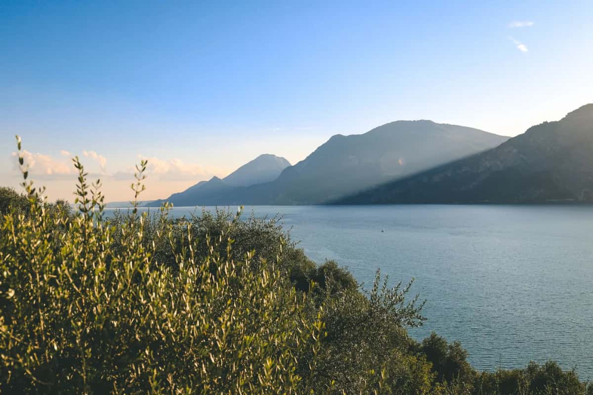 Le lac de Garde et ses montagnes depuis une oliveraie, dans le Nord de l'Italie