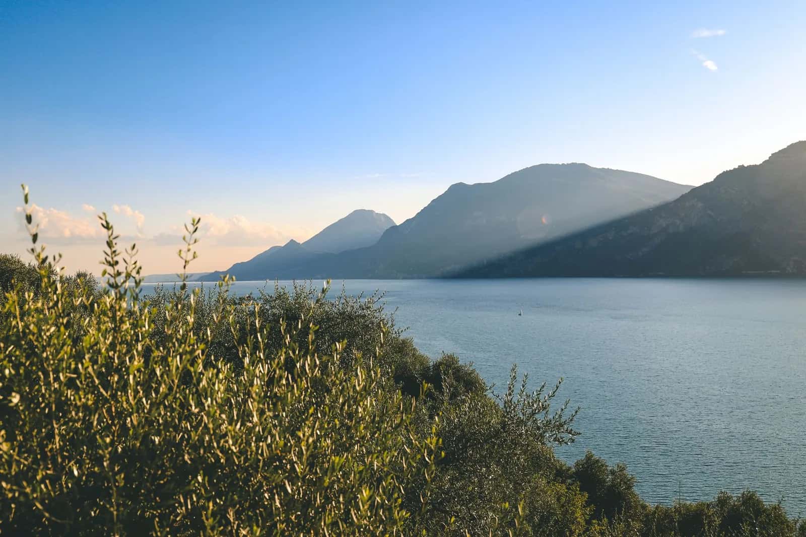 Le lac de Garde et ses montagnes depuis une oliveraie, dans le Nord de l'Italie