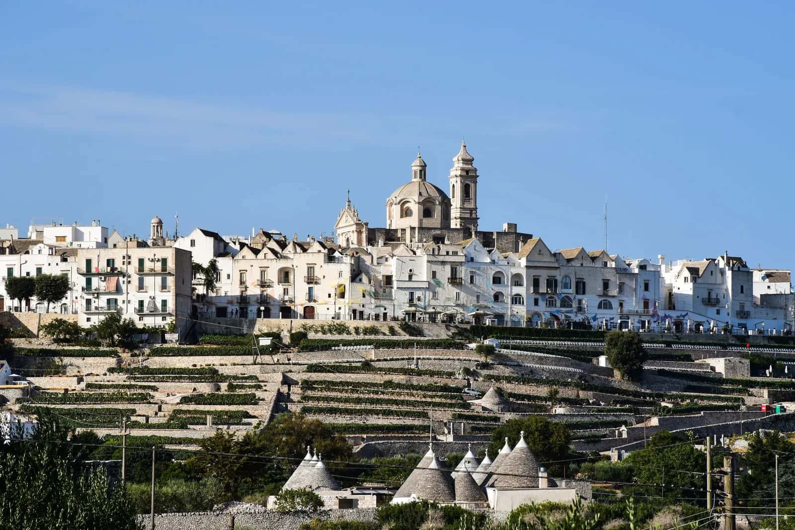 Locorotondo, village blanc sur sa colline, avec terrasses cultivées et trulli au premier plan