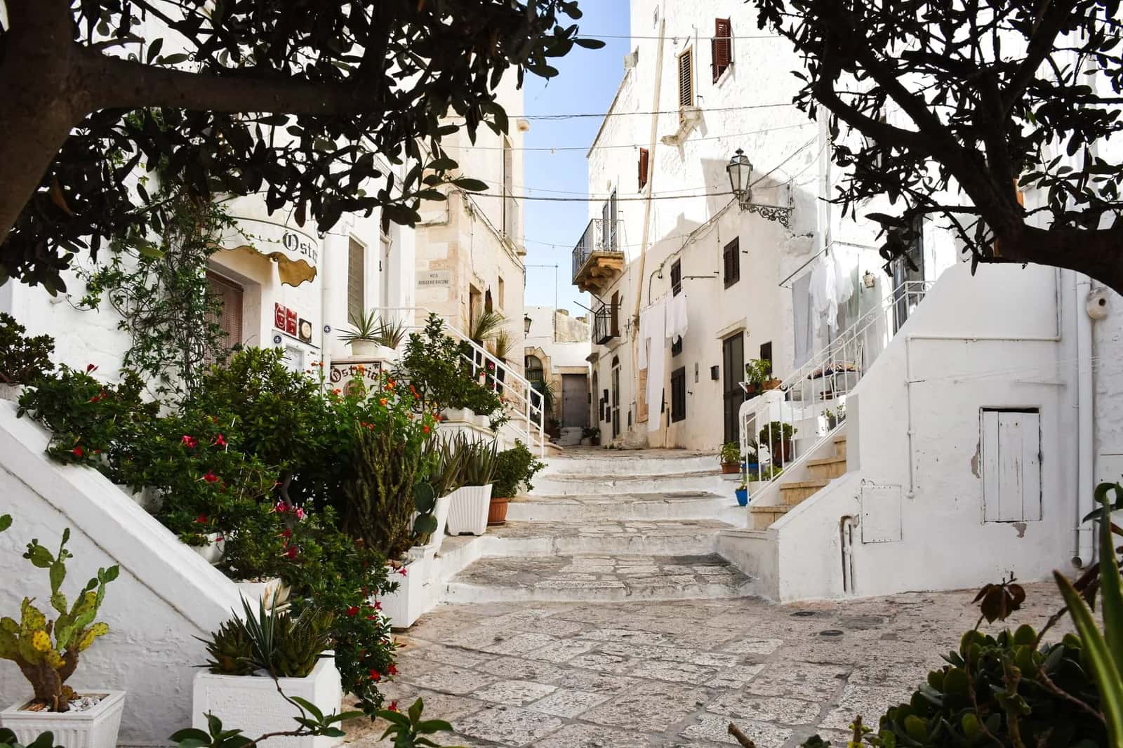 Ruelle en escalier aux façades blanchies à la chaux, avec pots de fleurs, dans le centre historique d'Ostuni