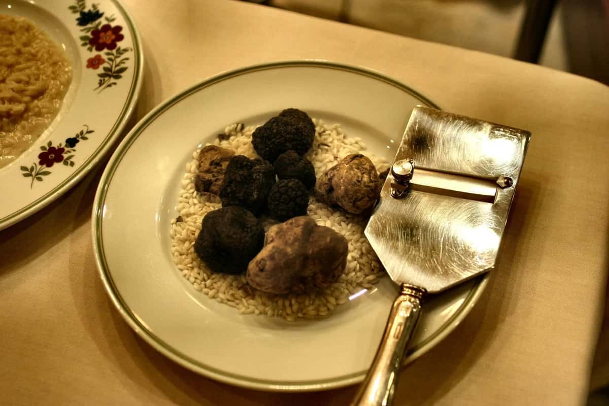 Truffes blanches et noires présentées sur un lit de riz avec une mandoline, spécialité d'Alba dans le Piémont