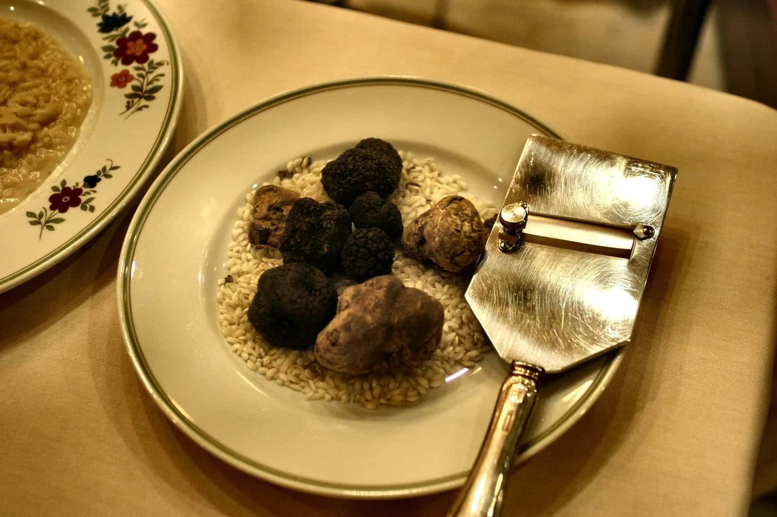 Truffes blanches et noires présentées sur un lit de riz avec une mandoline, spécialité d'Alba dans le Piémont