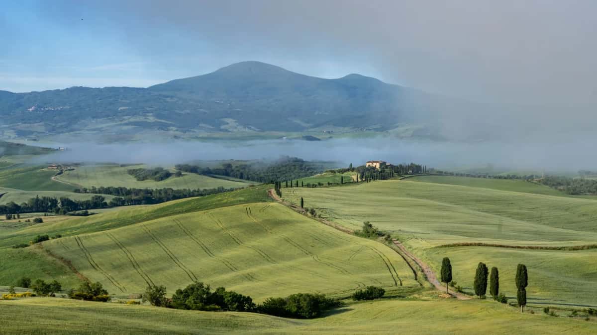 Collines, cyprès et ferme du Val d'Orcia en Toscane, au sud de Sienne