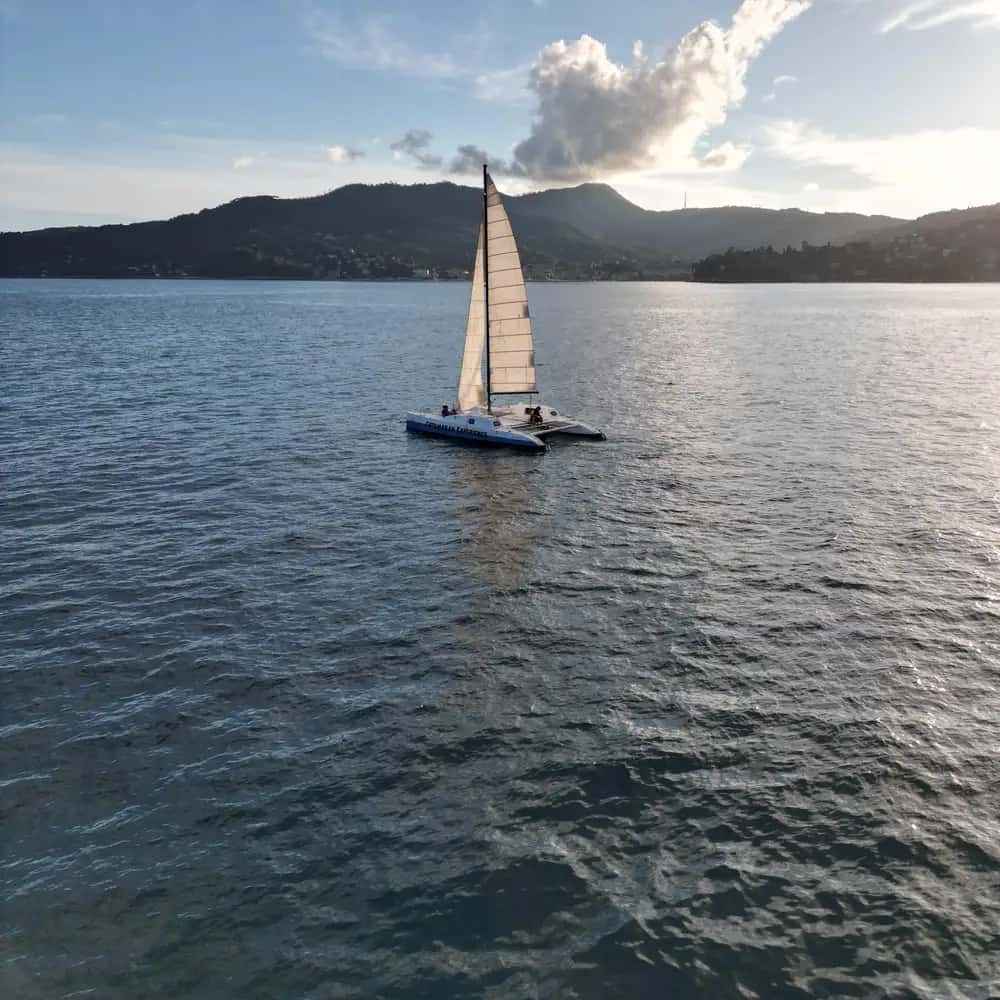 Catamaran une demi-journée autour du promontoire