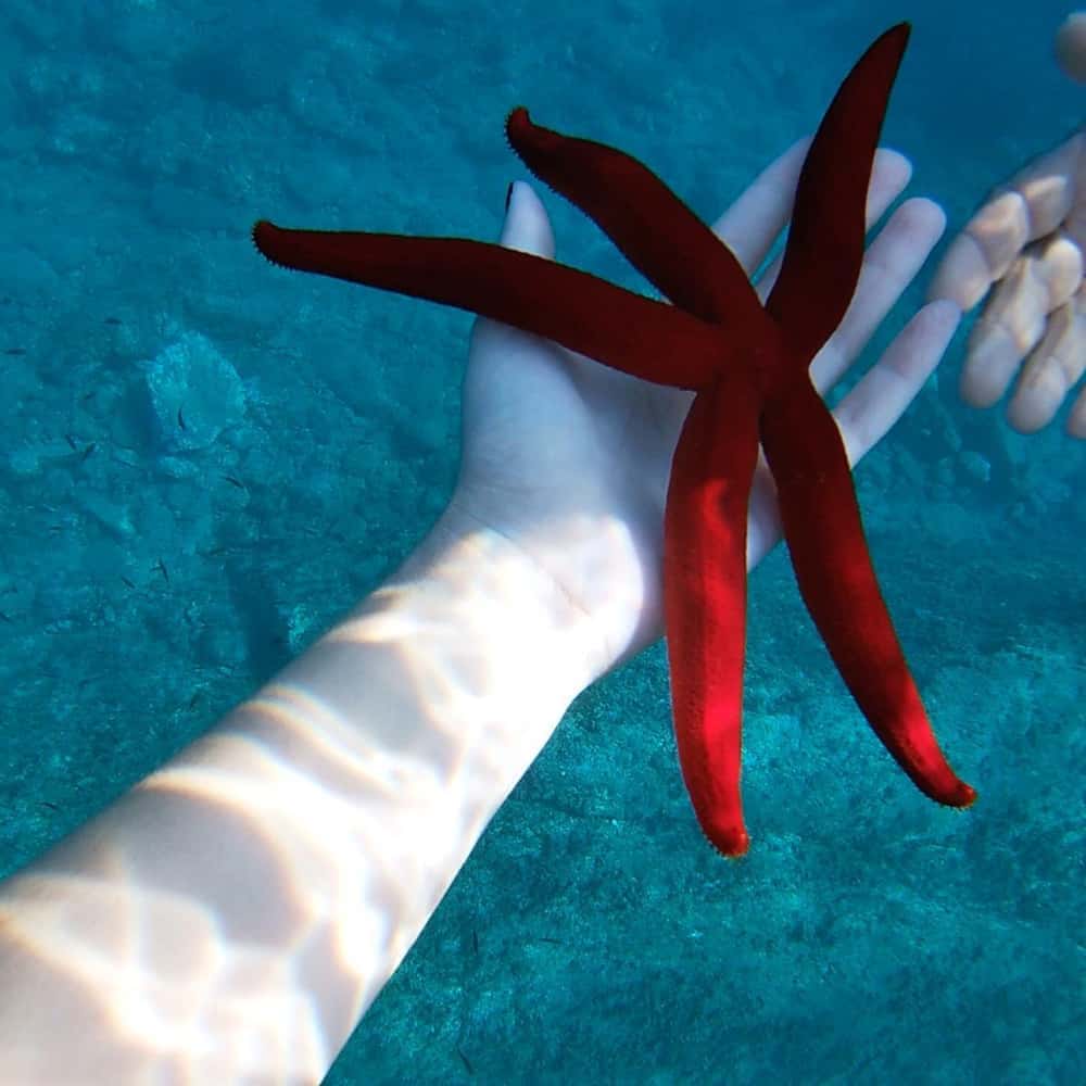 Taormine : bateau et snorkeling dans les eaux bleues
