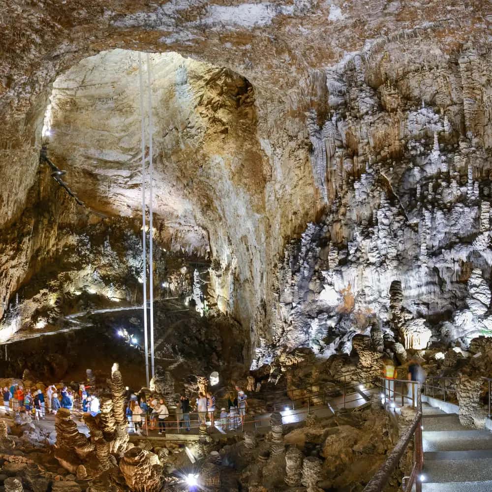 Grotta Gigante : visite guidée et musée
