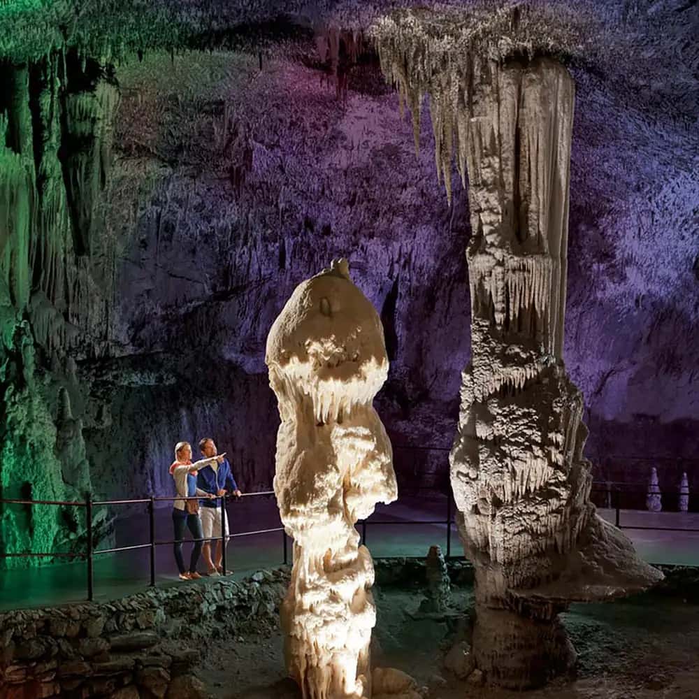 Grottes de Postojna et château de Predjama, au départ de Trieste