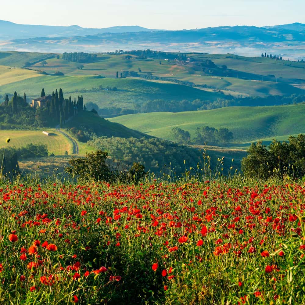 Montepulciano : la journée toscane depuis Rome