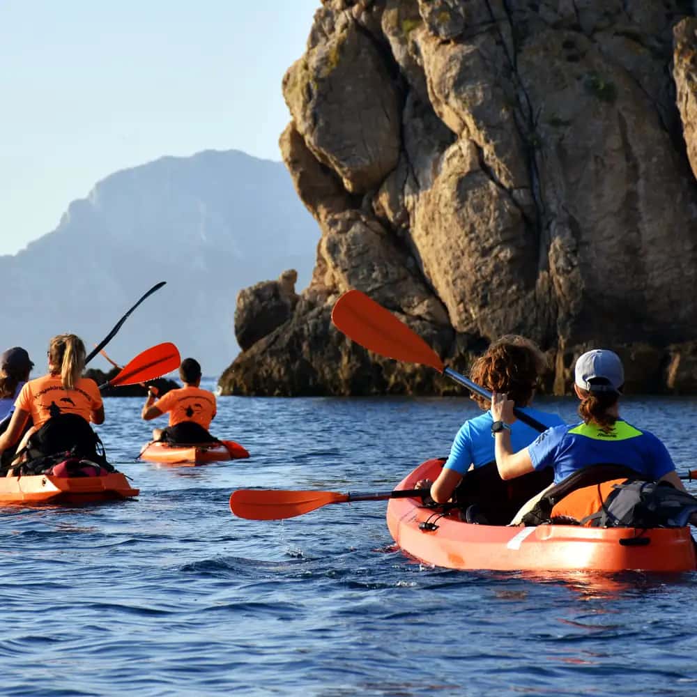 Kayak avec les dauphins et apéritif au golfe Aranci