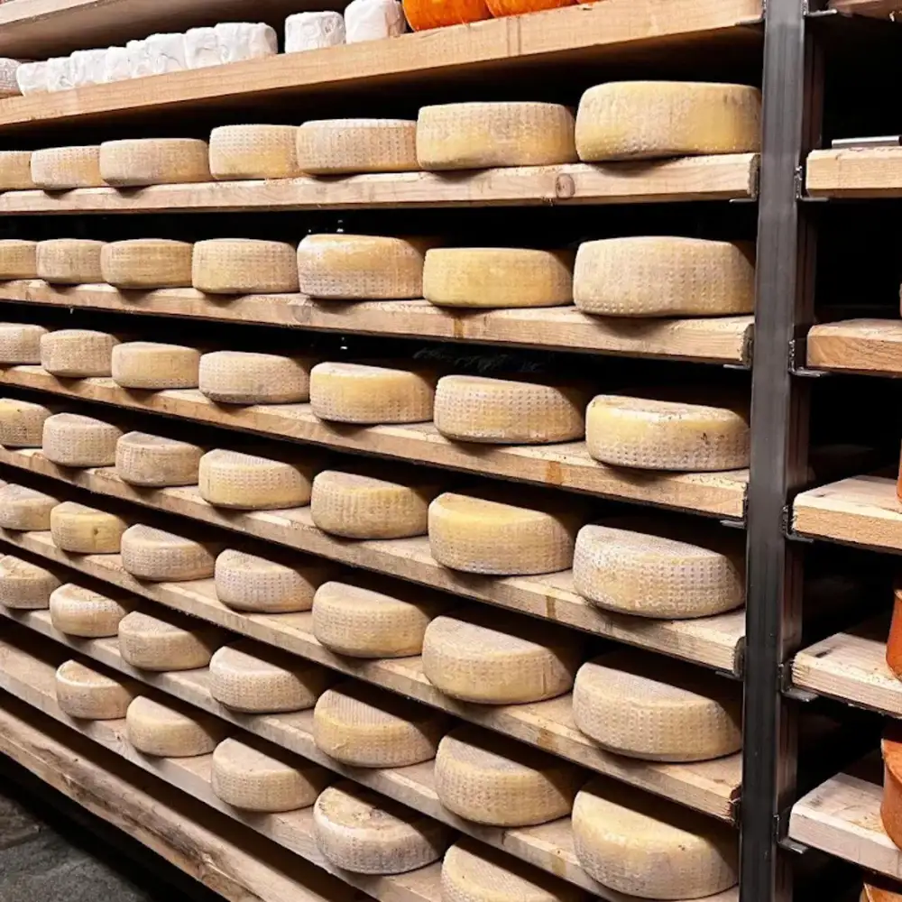 Fromagerie traditionnelle près d'Aoste, avec dégustation de fontina